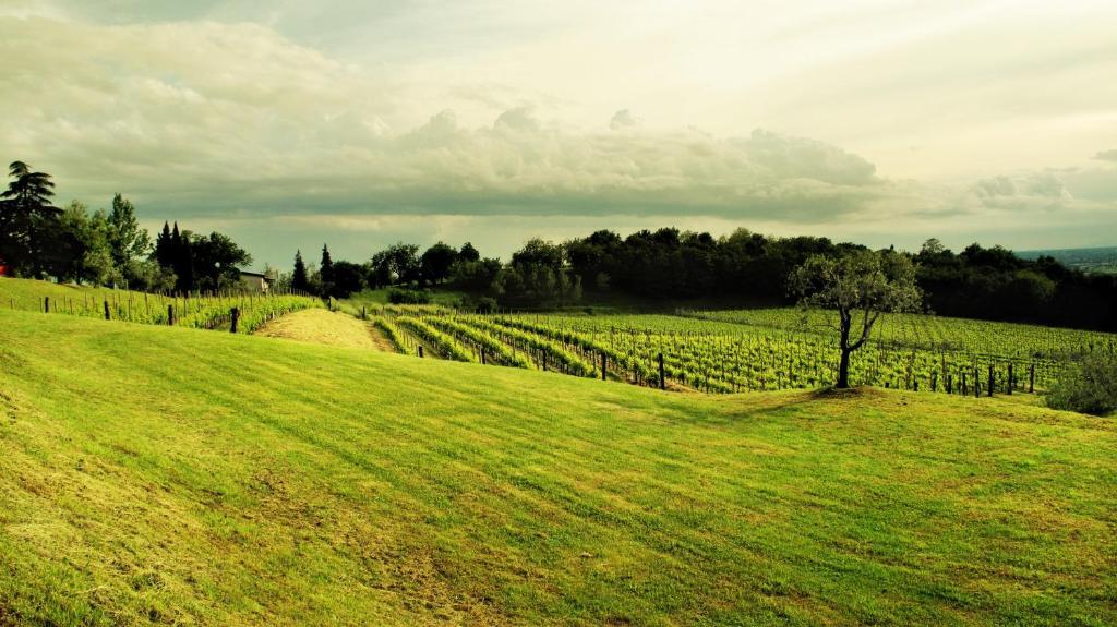 Agriturismo L'Uva E Le Stelle Faedis Bagian luar foto