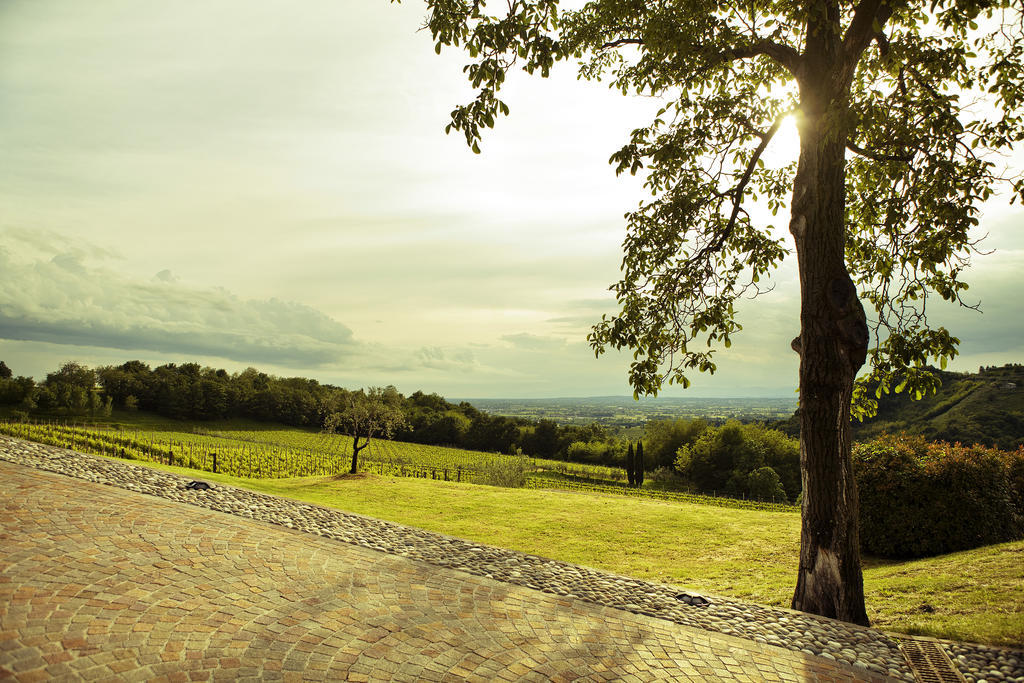 Agriturismo L'Uva E Le Stelle Faedis Bagian luar foto