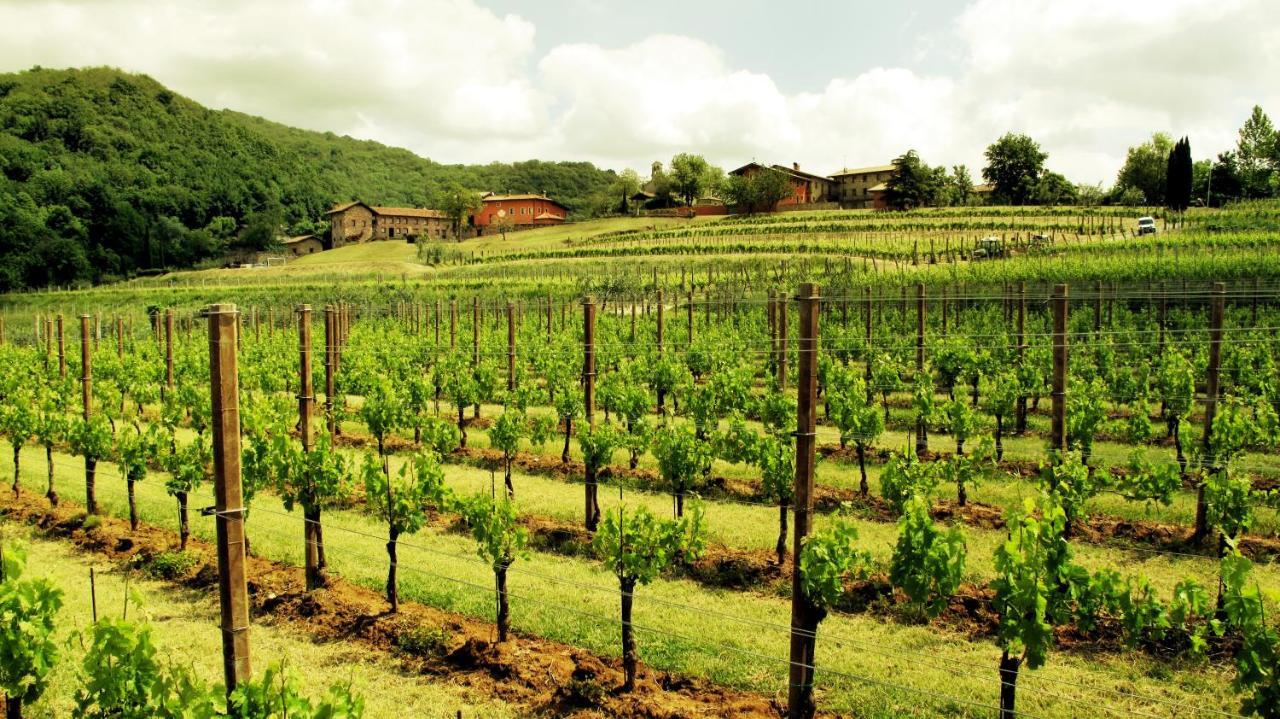 Agriturismo L'Uva E Le Stelle Faedis Bagian luar foto