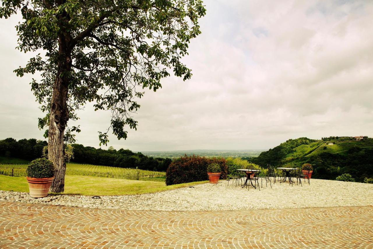 Agriturismo L'Uva E Le Stelle Faedis Bagian luar foto