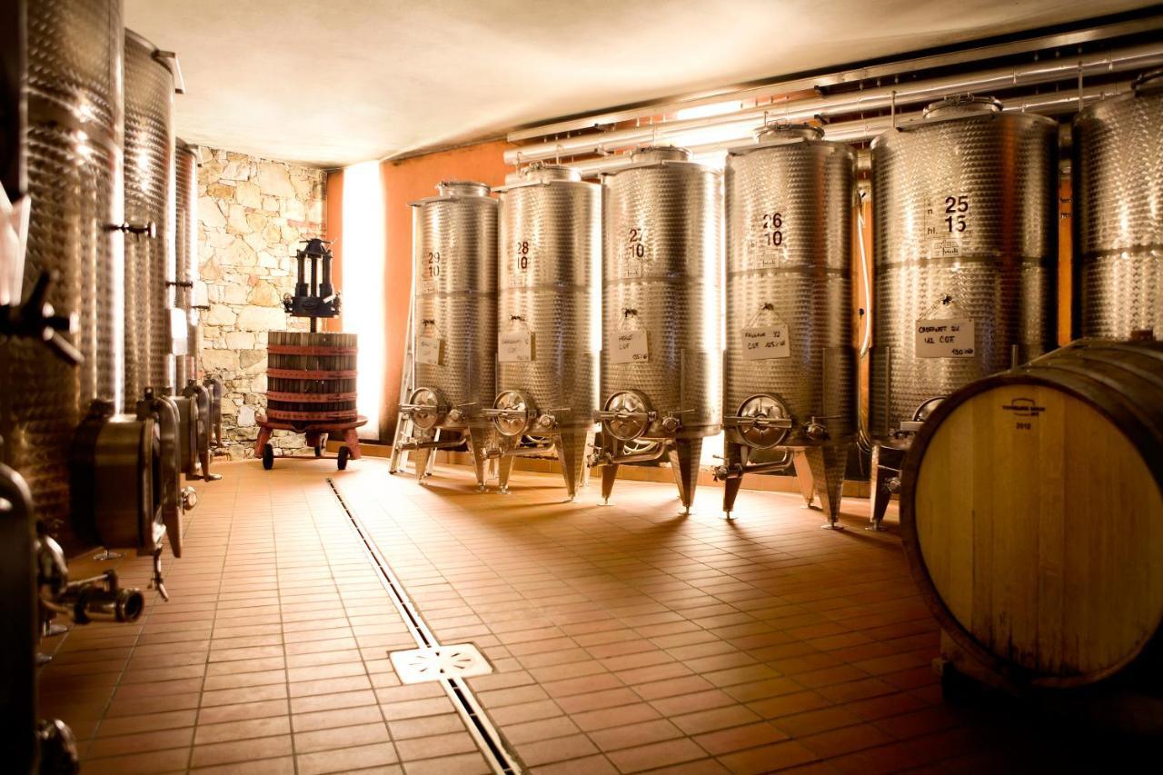 Agriturismo L'Uva E Le Stelle Faedis Bagian luar foto